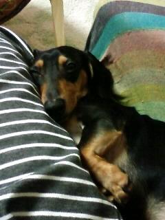 どんな姿勢でも!