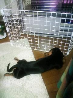 少しでも近付きたくて…