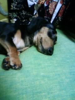 今年も間に合った～(^_^)v