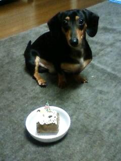 イブですね～☆