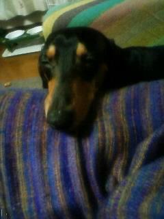 暖まったようです