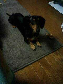 何が言いたいの？