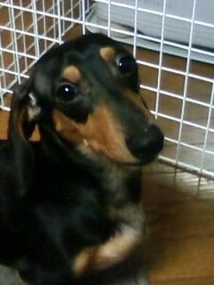 今年1年有り難う御座いました。そして今日は☆