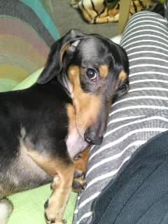 ハンガーストライキ