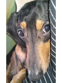 甘え顔アッ～プ