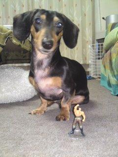 巨大化ラオウ??