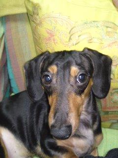 久々の夫婦喧嘩