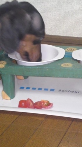 ラオウの舌は・・・(┳◇┳)