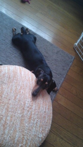 バレンタイン†