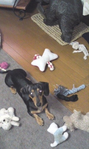 自分で片付けなさい!