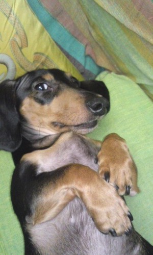 又々季節外れの・・・