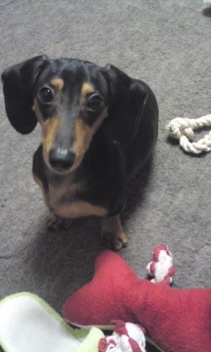 ご主人様ヤバいです！