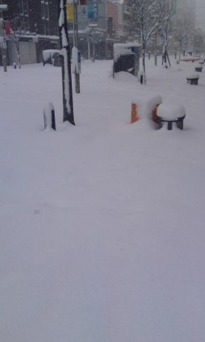 今日は春分の日の振り替え休日？