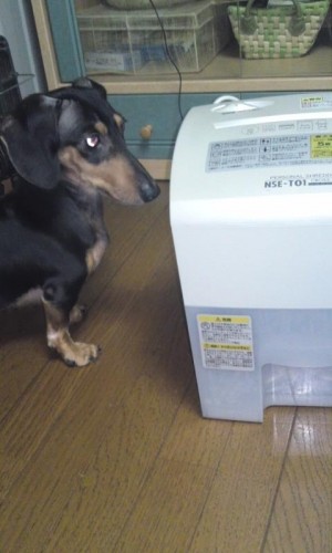 何回やっても面白い♪