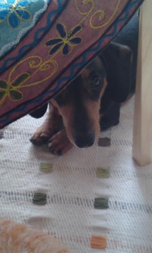 何ですか？(◎o◎)