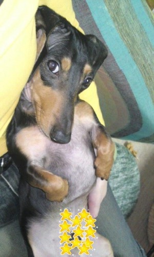 ハズカシイ(*^o^*)