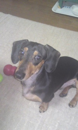 ラオウネタじゃないですが