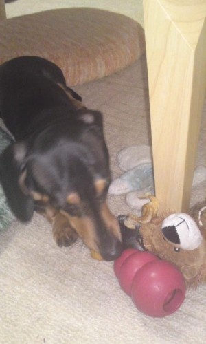 宝物は隠すのさ！