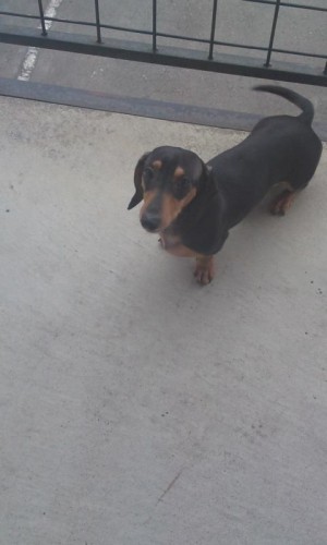 いじわる～(`o´)