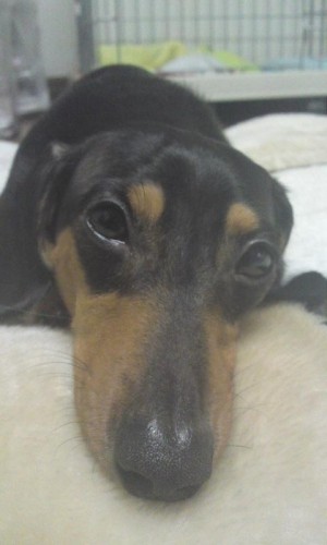 勘弁してくれよ～(`o´)