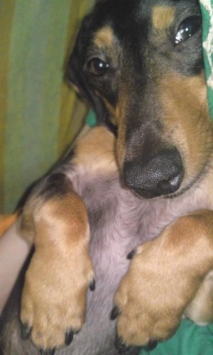 前足フェチです！