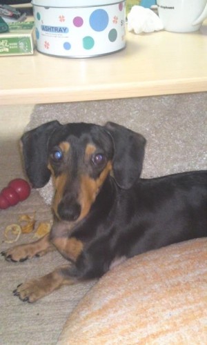 隠しちゃうんだ～