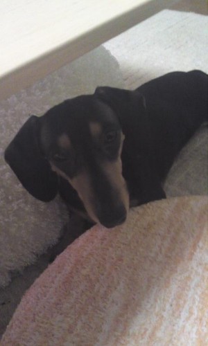 頭隠して・・・