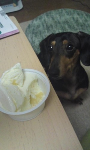 ラオウが狙ってる～！