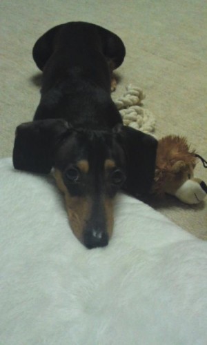 つまんないな～