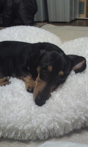 ワ―ルドカップ観戦。ラオウバ―ジョン