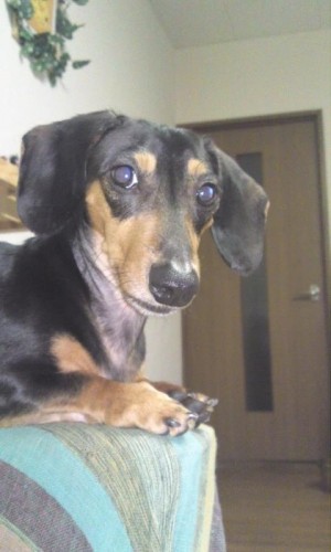 ん？大人になった？