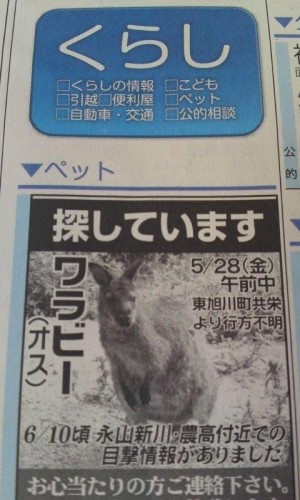 見つけたらどうしたらいいの(?_?)