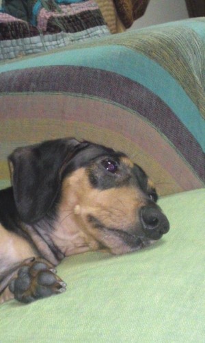 くつろぎ過ぎ！