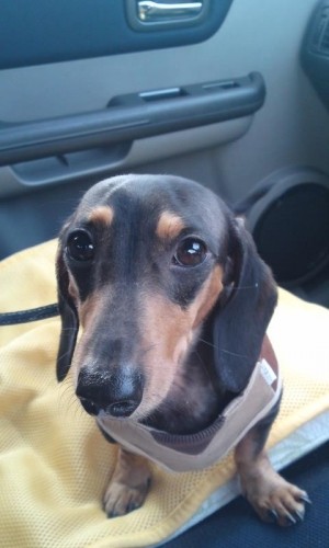 ただいま～(^O^)