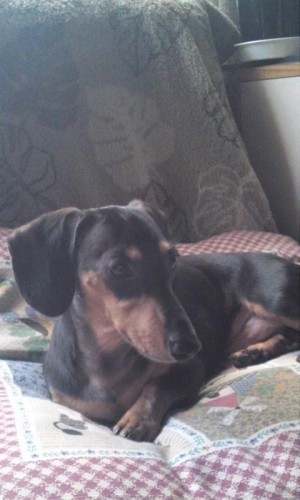 おかえり～(;_;)