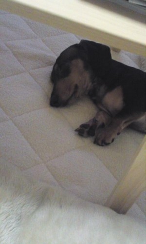 つまんないな～