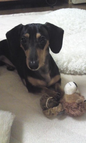 つまんないな～２