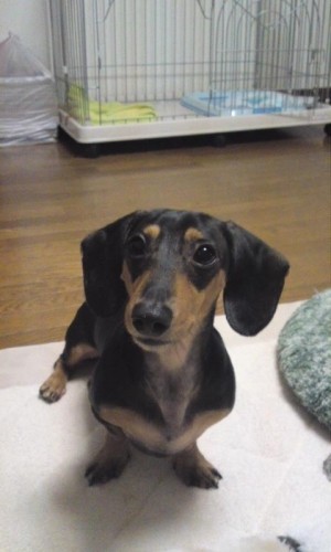 めっけもん(^O^)