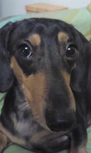 怒って良いですよね！