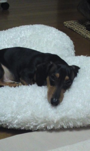 心配だけど・・・