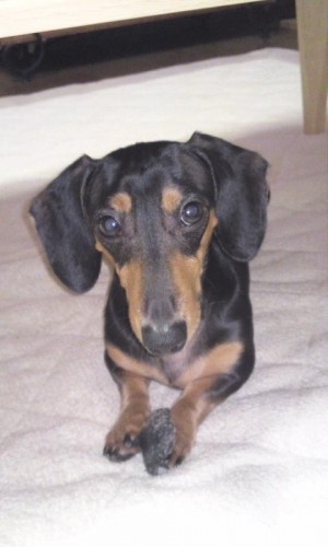 柔道すげ～(^w^)