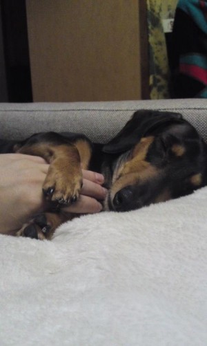 離してよ～～！