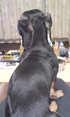 寒くなりましたね～