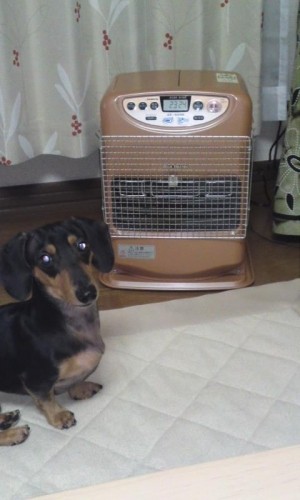 もうこんな季節が