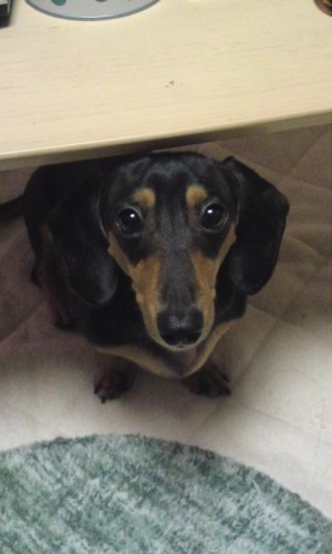 久しぶりのラオウ