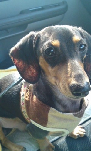 初孫公開(≧∇≦)