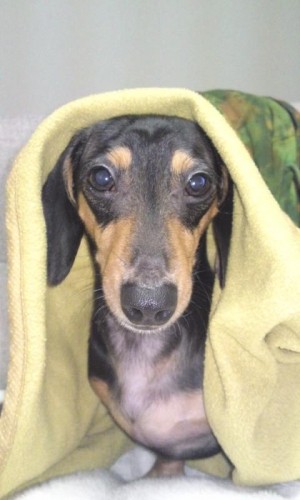 ほっとしたような寂しいような