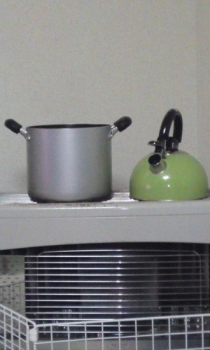 乾燥に救世主？