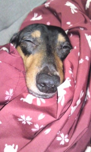 埋まってる～(^w^)