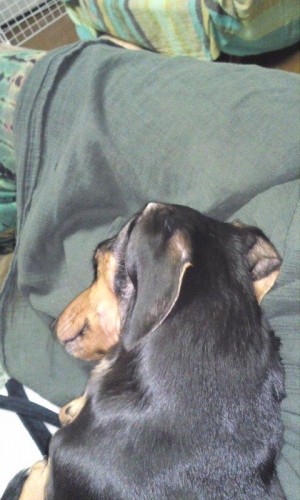 一番のお気に入り(*^o^*)